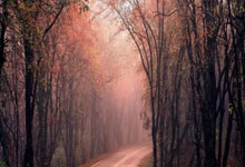 天涯论坛神贴：极品天意玩家的大神操作