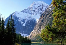 天涯论坛神贴收藏价值超高：那篇炫富贴子让人连吸三杯咖啡！